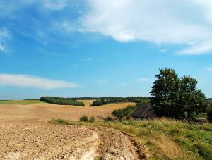 Cudzoziemcy wykupują polską ziemię