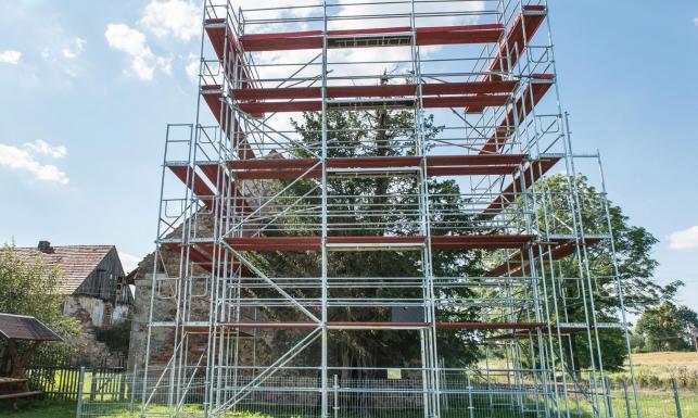 Ma 1300 lat i wykańczają go upały. Najstarsze drzewo w Polsce bez pomocy ludzi nie przetrwa