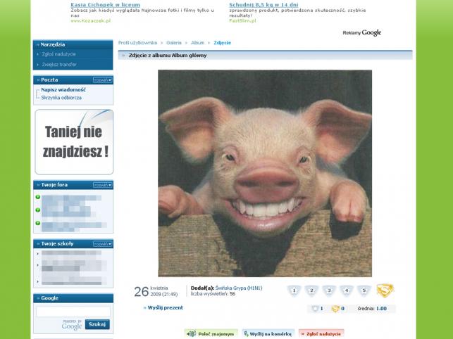 Profile świńskiej grypy na Naszej-klasie