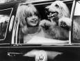 Goldie Hawn