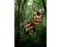 Bikini w panterkę i prawdziwy dzikus przy boku... Magda Swat w scenie z filmu "Tarzan i Zaginione Miasto"