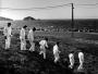 Muzyczne pogaduchy Arcade Fire z Davidem Byrne'm