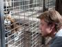 "Kupiliśmy zoo", czyli wszystkie stworzenia duże i małe
