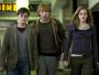 Harry Potter i Insygnia Śmierci, część I