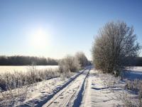 PROGNOZA POGODY na weekend: Śnieg i wiatr, w niedzielę słońce