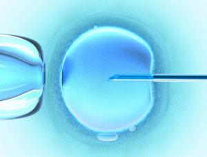 W Sejmie jest już projekt ustawy o in vitro